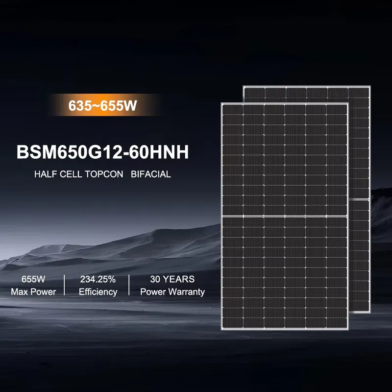 Bluesun N-Typ-Solarpanel 610W  – Solar Panel Bewertung und Preis